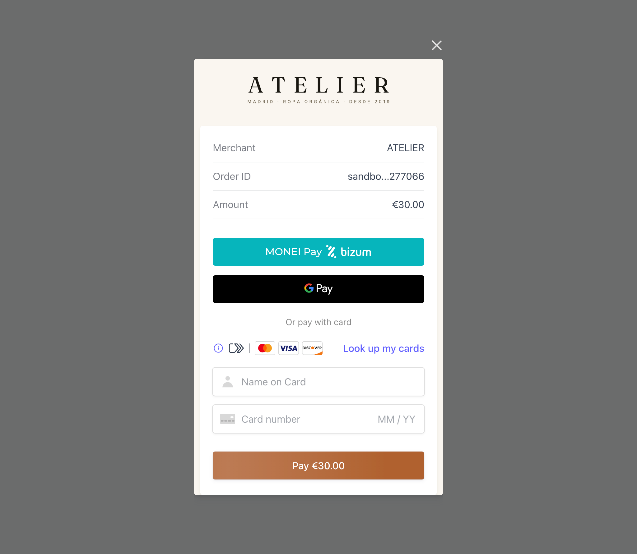 MONEI Payment Modal preview